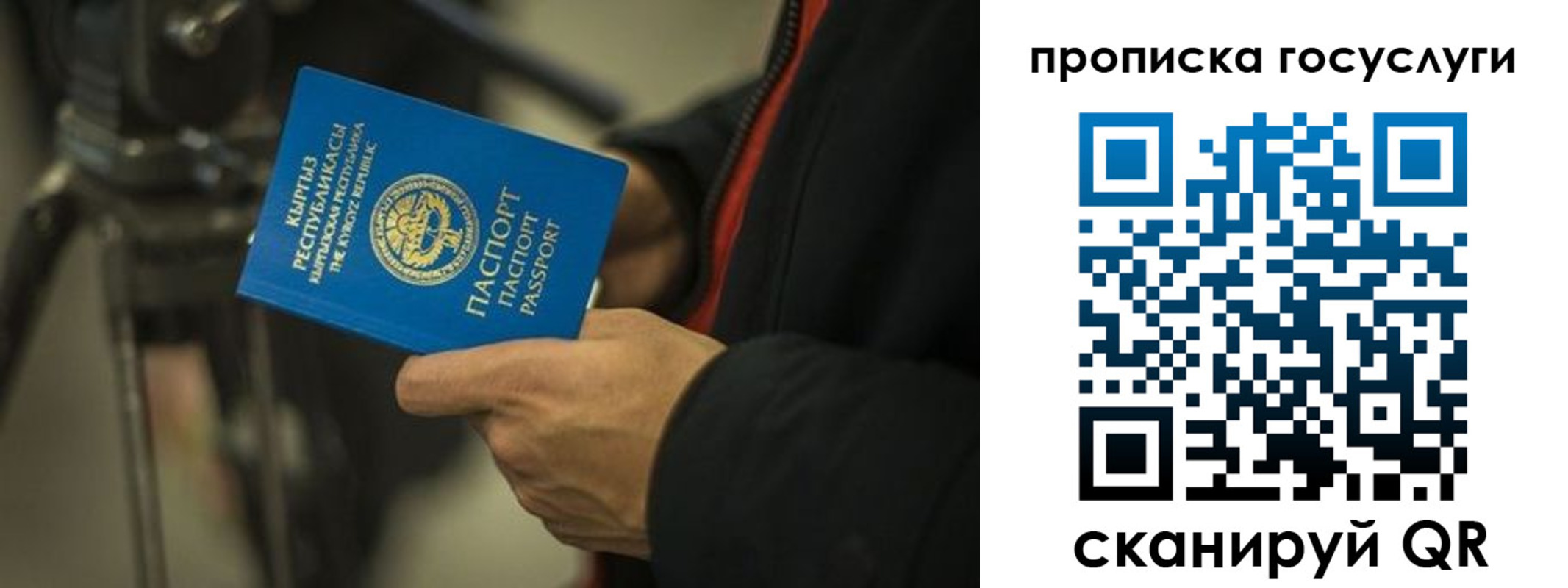 временная регистрация адрес в Новороссийске